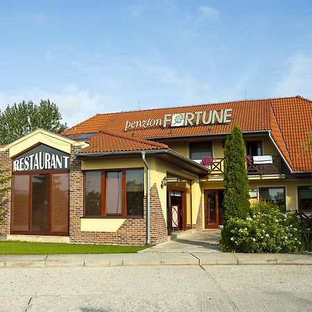 Penzion Fortune Дунайска-Стреда Экстерьер фото